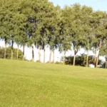 Espace Vert, Exterieur, Jardin, Pelouse, Londell Services