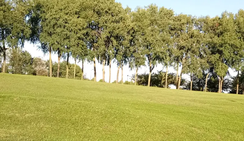 Espace Vert, Exterieur, Jardin, Pelouse, Londell Services